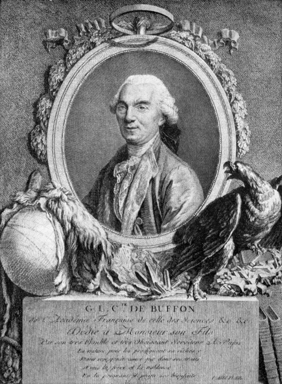 Georges-Louis Leclerc, Comte de Buffon, francia természettudós, 18. század alkotó: Unbekannt