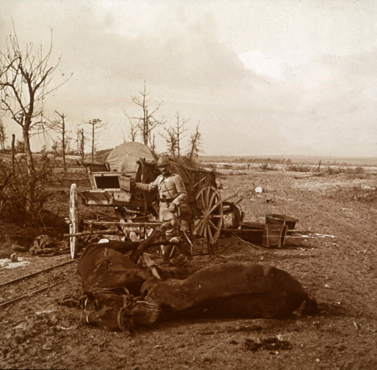 Német lóvontatású jármű, Tahure, Észak-Franciaország, c1914-c1918 alkotó: Unbekannt
