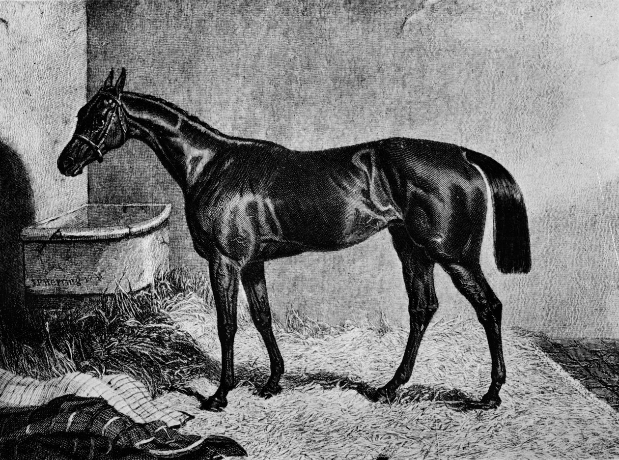 Ghuznee, 19. század, 1911 alkotó: Unbekannt