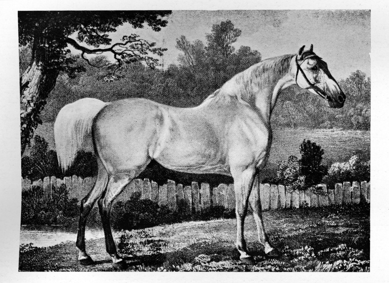 Gimcrack, 1760-1777, 1911 alkotó: Unbekannt