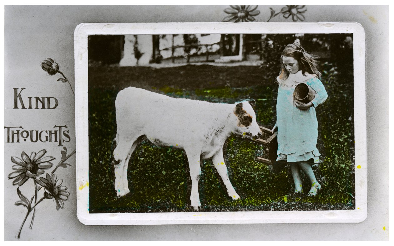 Lány tehenet fejni készül, üdvözlőlap, c1890-1910 alkotó: Unbekannt