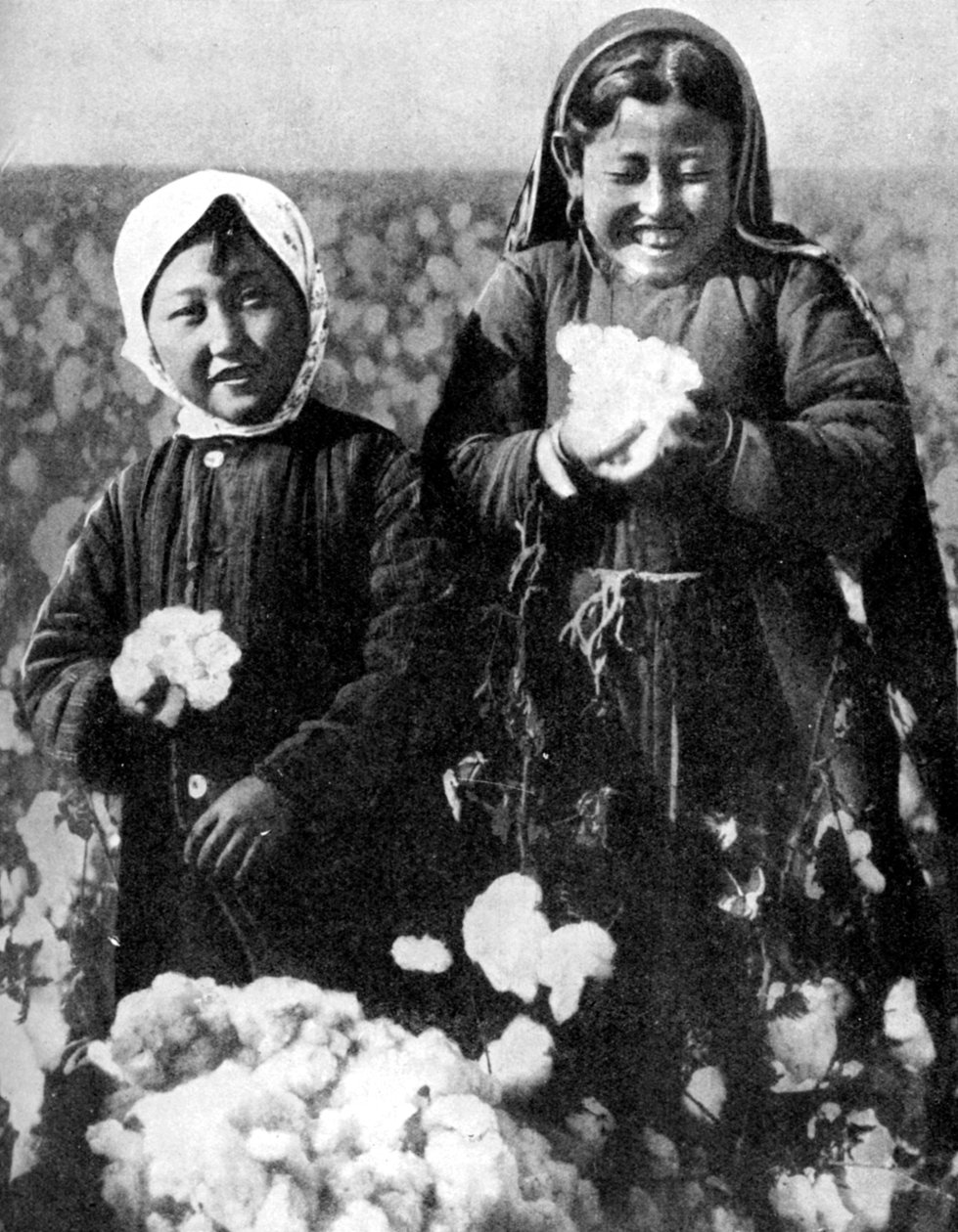Lányok egy gyapotföldön, Kazahsztán, 1936 alkotó: Unbekannt