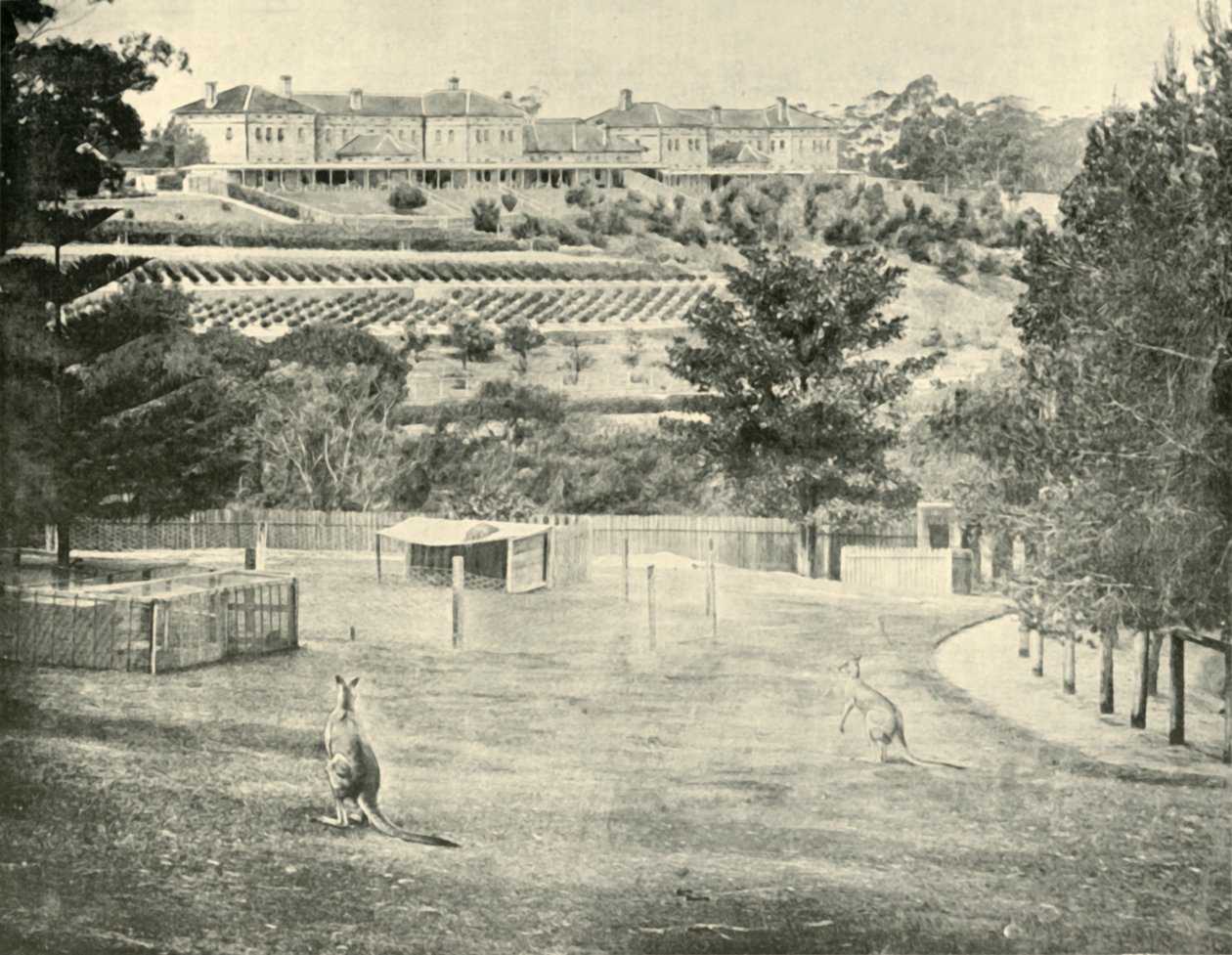 Gladesville Asylum for the Insane, Új-Dél-Wales, 1901. alkotó: Unbekannt
