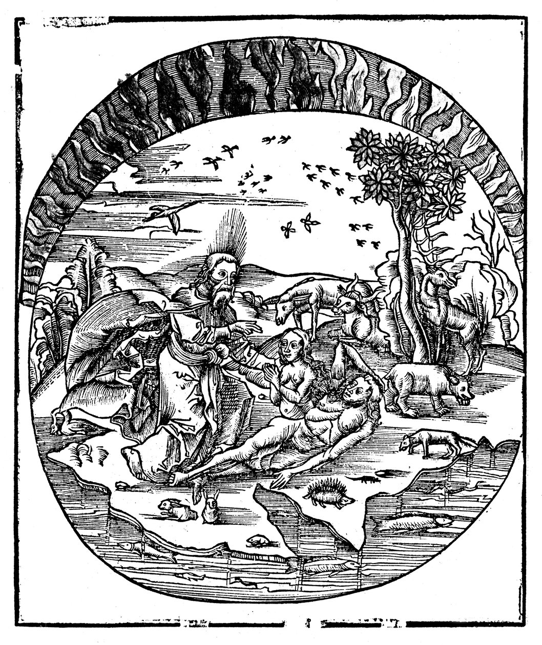 Isten teremtette Évát Ádám bordájából, 1508 alkotó: Unbekannt