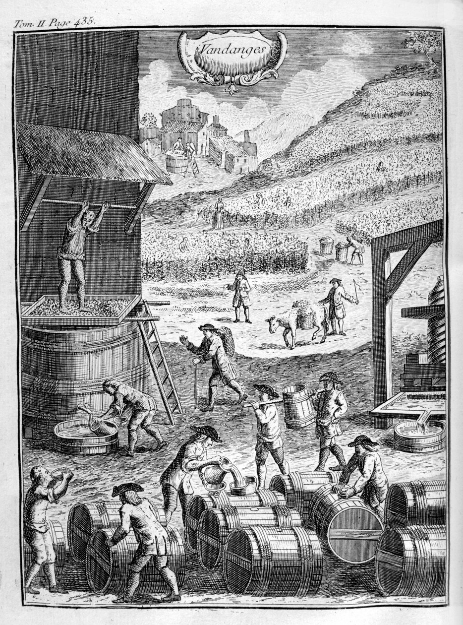 Szőlőszüret, 1775 alkotó: Unbekannt