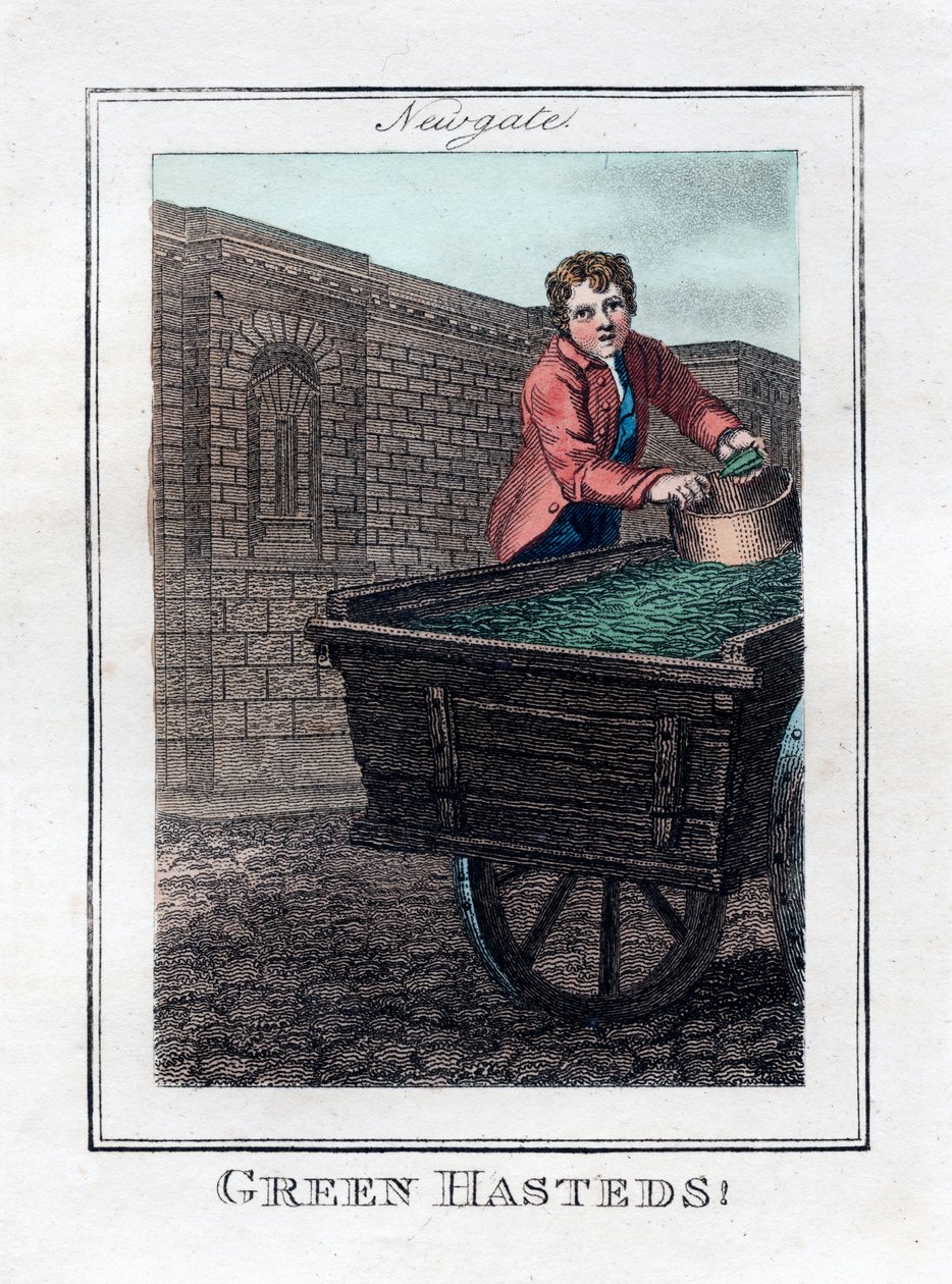 Green Hasteds, Newgate, London, 1805 alkotó: Unbekannt