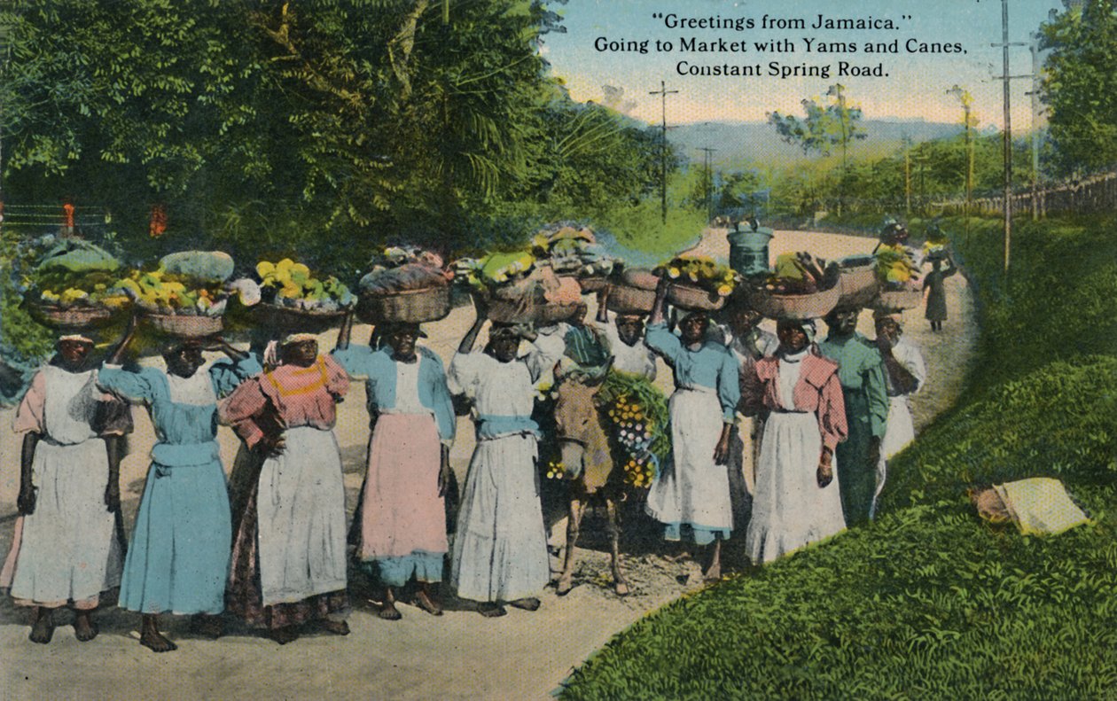 Üdvözlet Jamaicáról. Piacra menni yasszal és vesszővel. Constant Spring Road, 1913. alkotó: Unbekannt