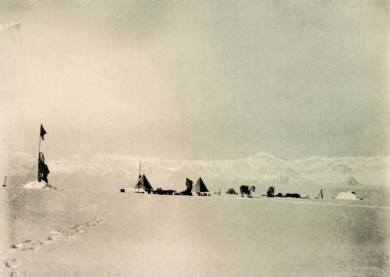 Grisi raktár, déli szélesség 82° 45, c1908, 1909. alkotó: Unbekannt