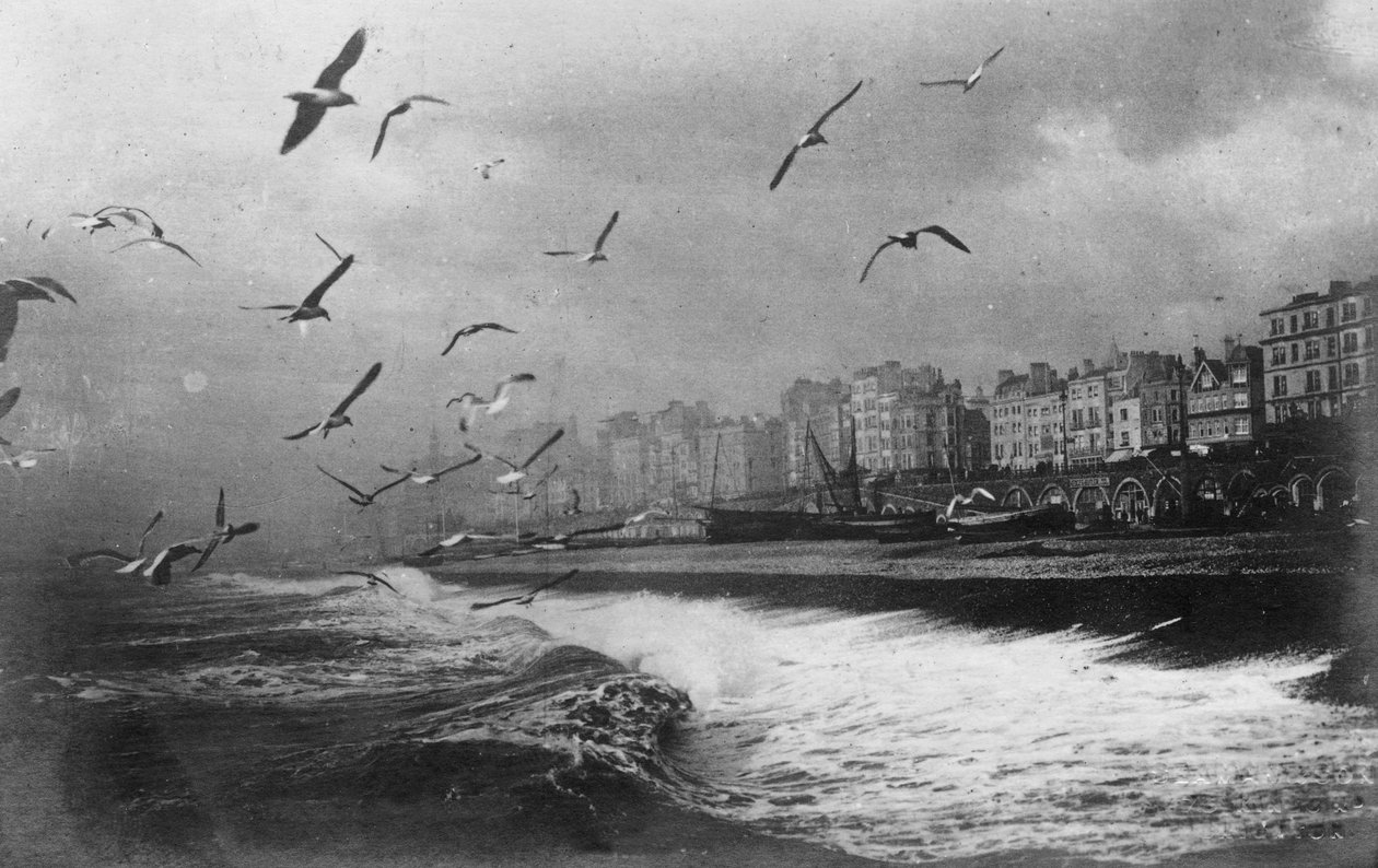 Sirályok Brightonban, East Sussexben, a XX. század elején alkotó: Unbekannt