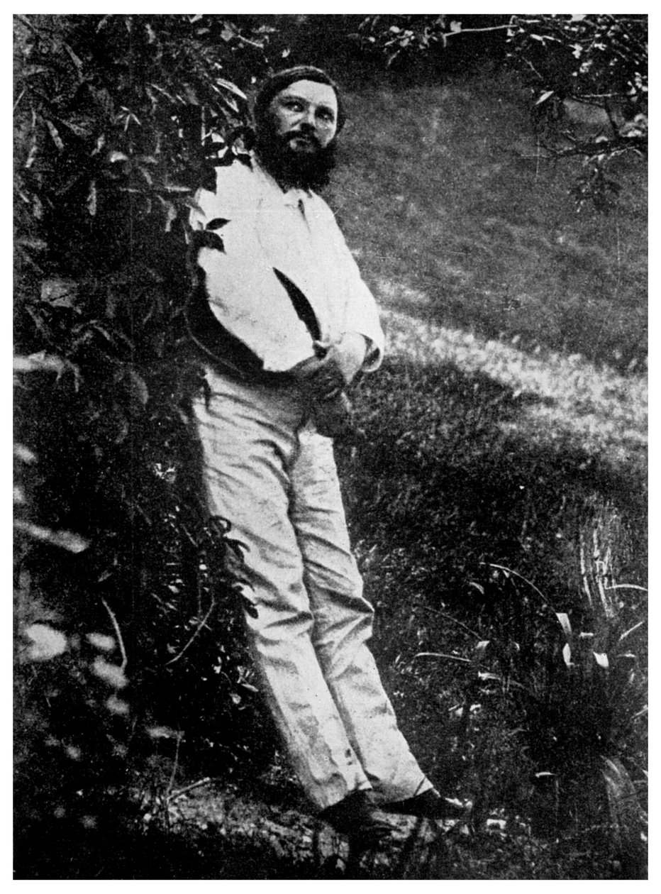 Gustave Courbet francia művész, XIX. század 1956 alkotó: Unbekannt