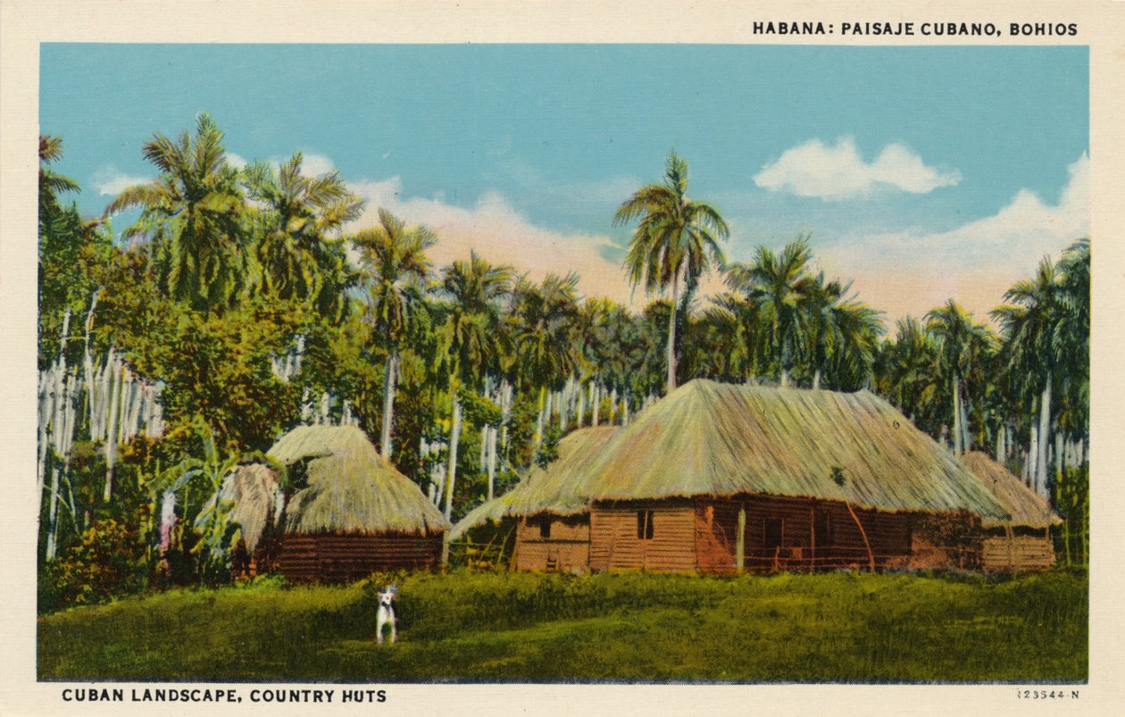 Havanna: Kubai táj, Bohios. Kubai táj, Vidéki kunyhók, 1910 alkotó: Unbekannt