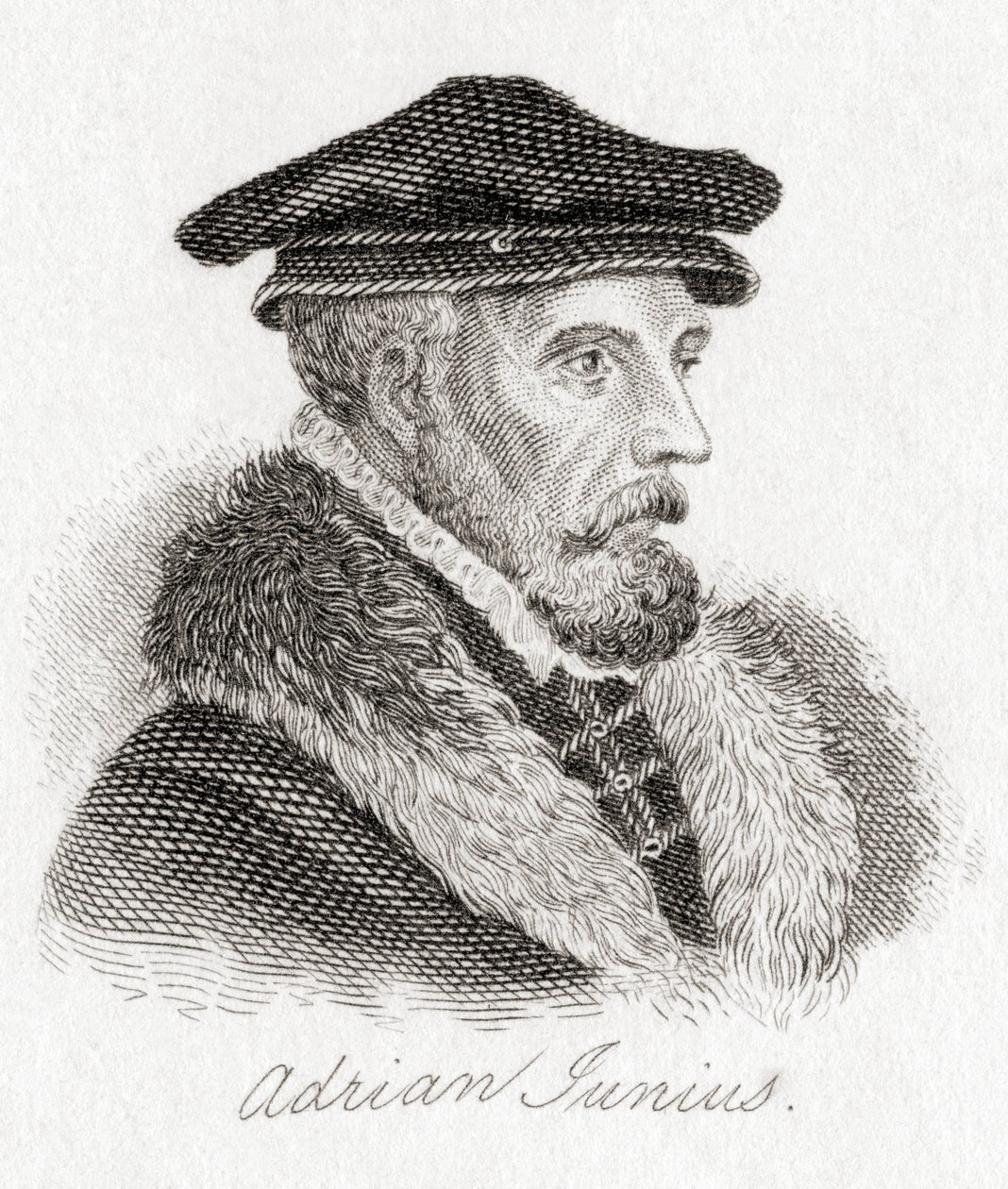 Hadrianus Junius, 1511–1575, más néven Adriaen de Jonghe. alkotó: Unbekannt