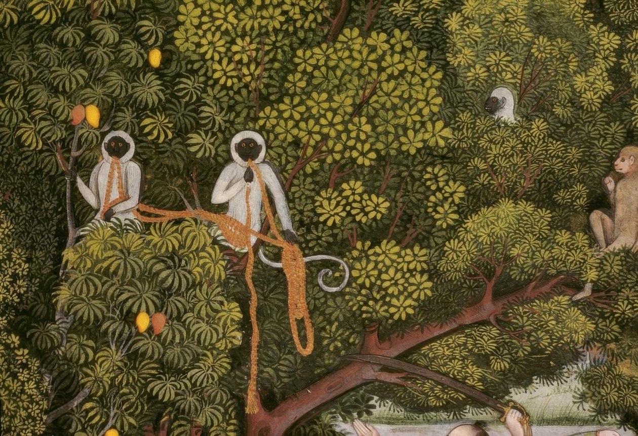 Hanuman-Languren indiai miniatűr alkotó: Unbekannt