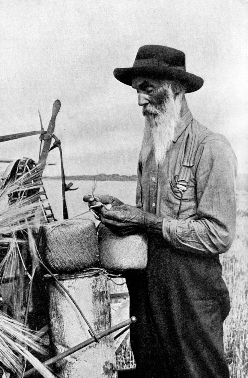 A betakarítás ideje a Red River körzetben, Alberta, Kanada, 1922 alkotó: Unbekannt