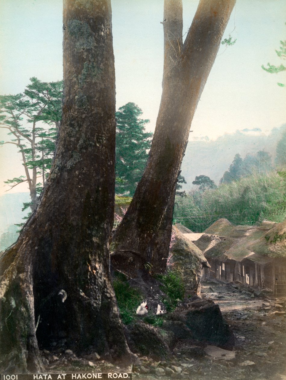 Hata a Hakone Roadnál, Japánban, a XX. század elején alkotó: Unbekannt