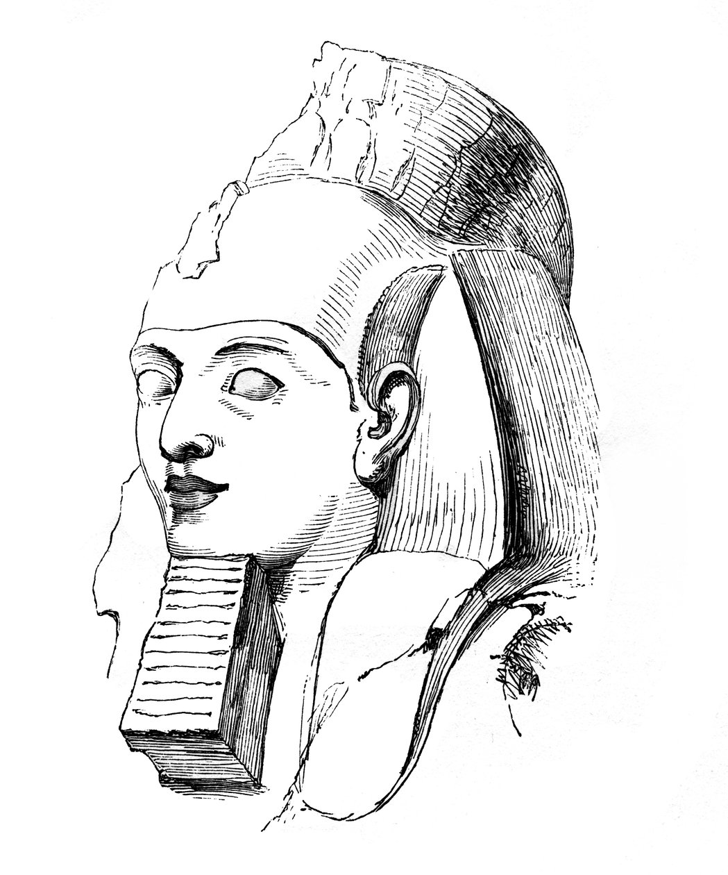 Ramszesz feje, 1848 alkotó: Unbekannt