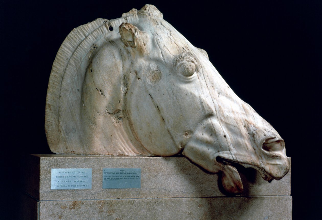 Egy ló feje a Szelené szekeréről a Parthenon keleti oromfaláról, ie 447-432 alkotó: Unbekannt