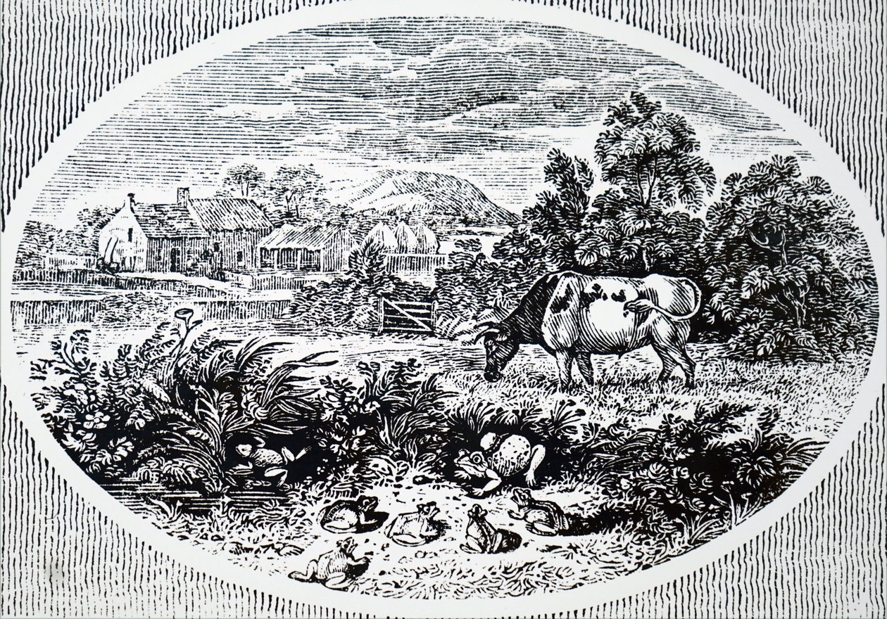 Thomas Bewick fejfedője alkotó: Unbekannt