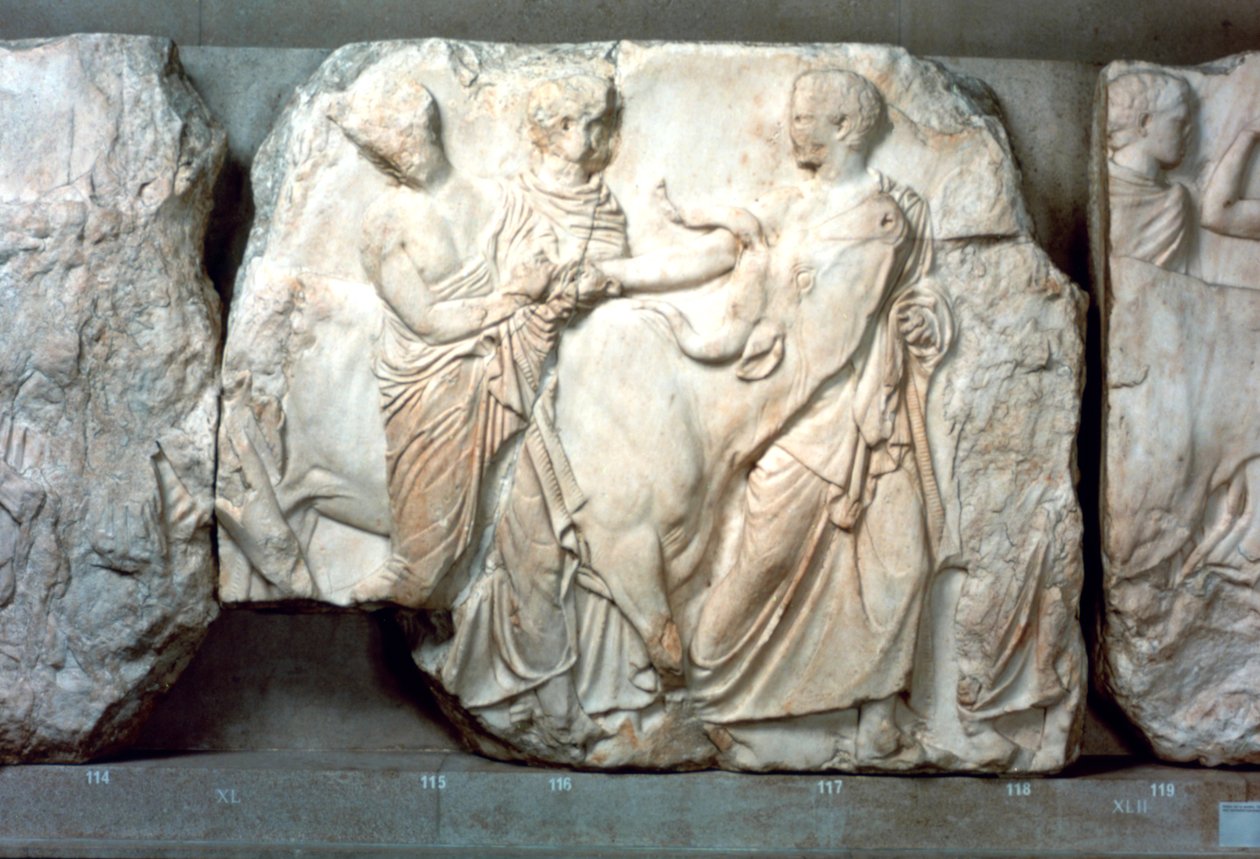 A Parthenon déli frízéből az üszők áldozásra vezettek, ie 447-432 alkotó: Unbekannt