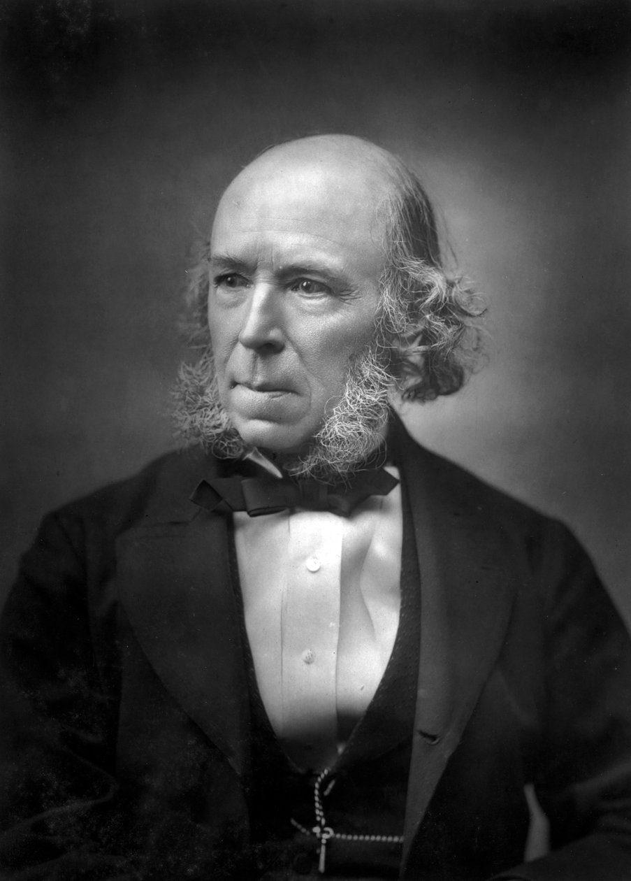Herbert Spencer 1820-1903, 19. század vége alkotó: Unbekannt