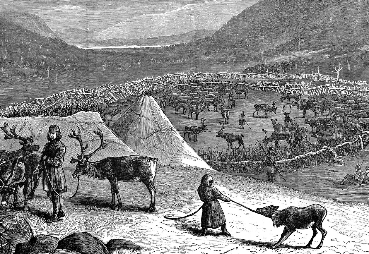 Rénszarvascsorda, Lappföld, 1882 alkotó: Unbekannt