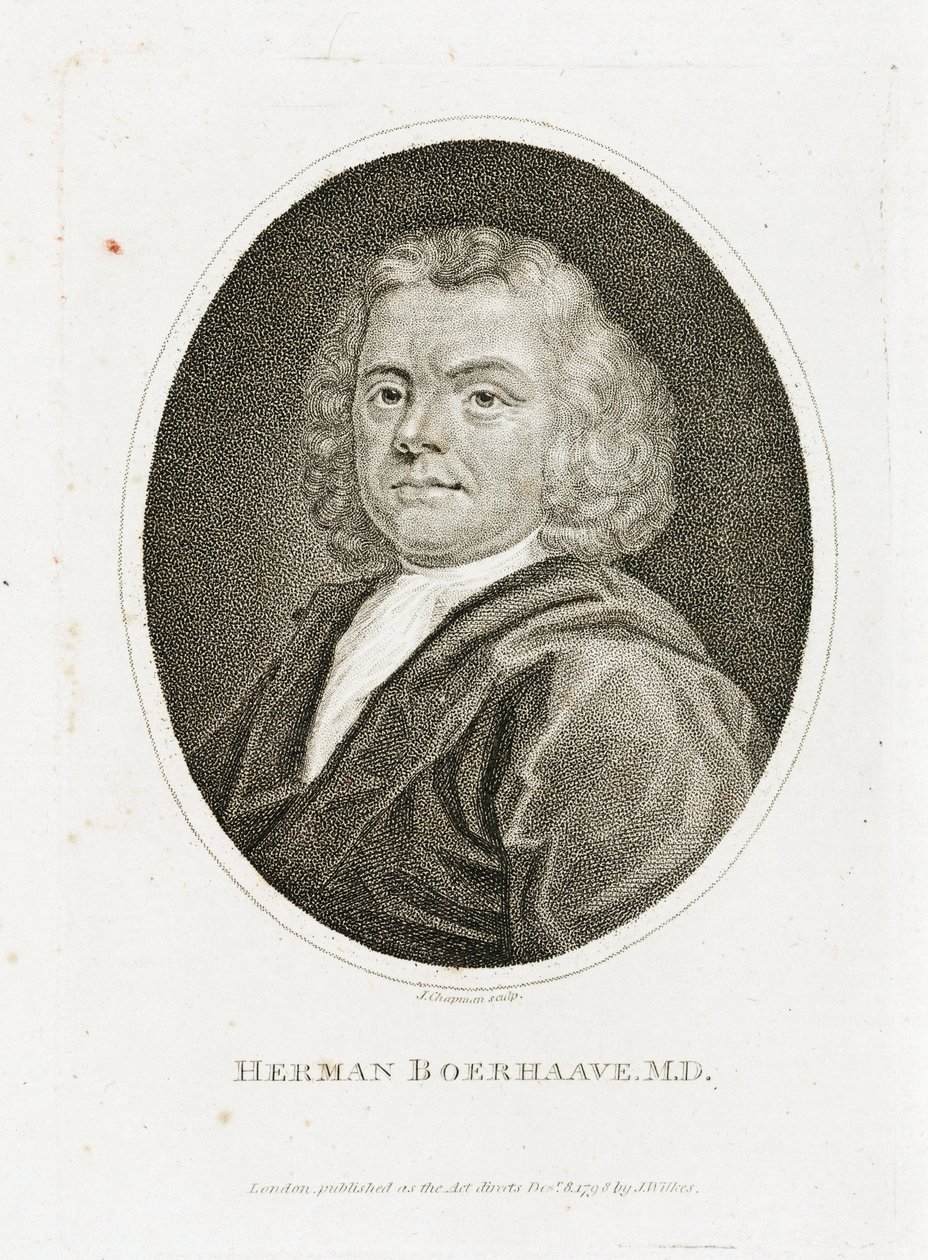 Herman Boerhaave holland orvos, vegyész és botanikus, 18. század eleje alkotó: Unbekannt