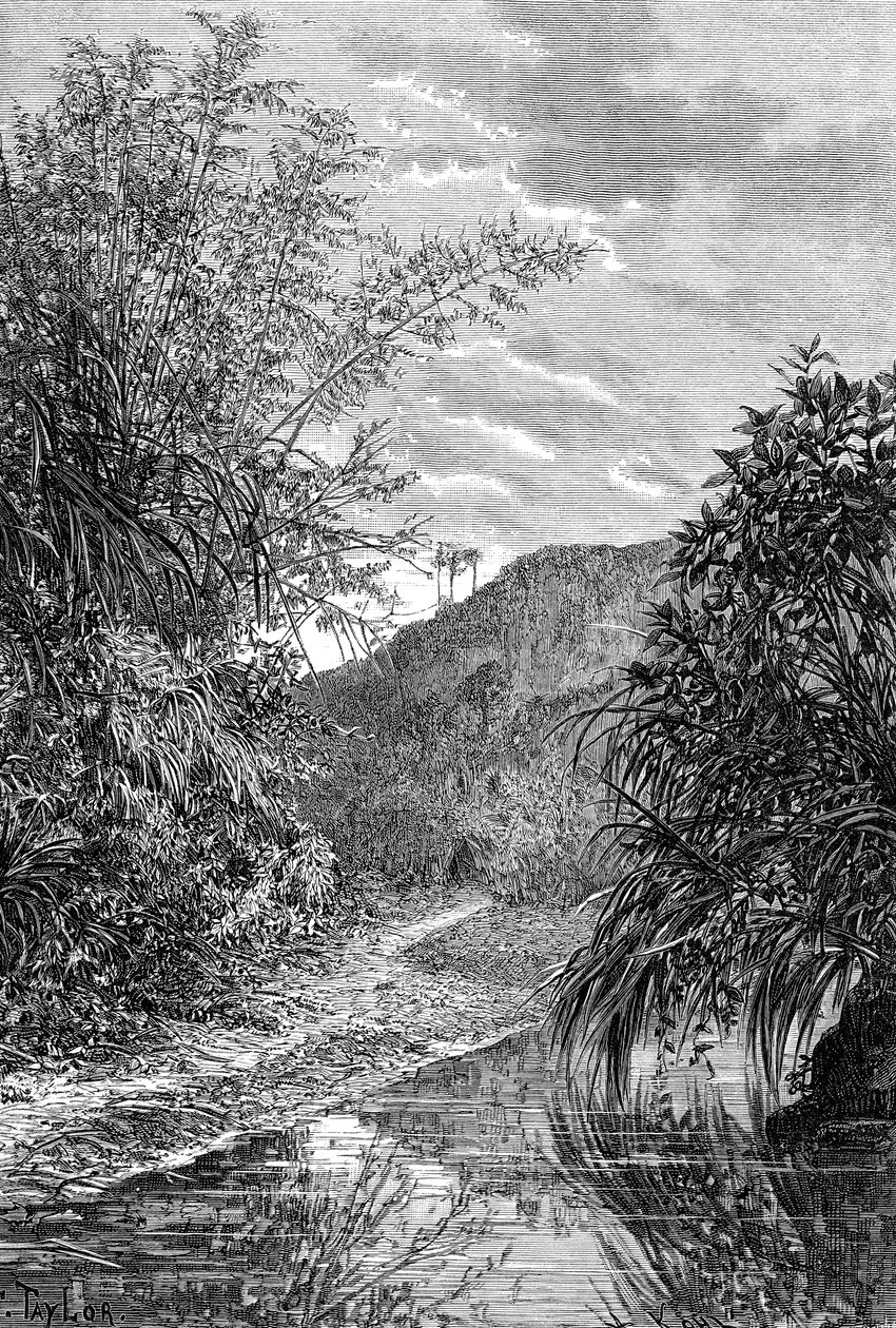 Felvidéki táj, Formosa, 1890 alkotó: Unbekannt