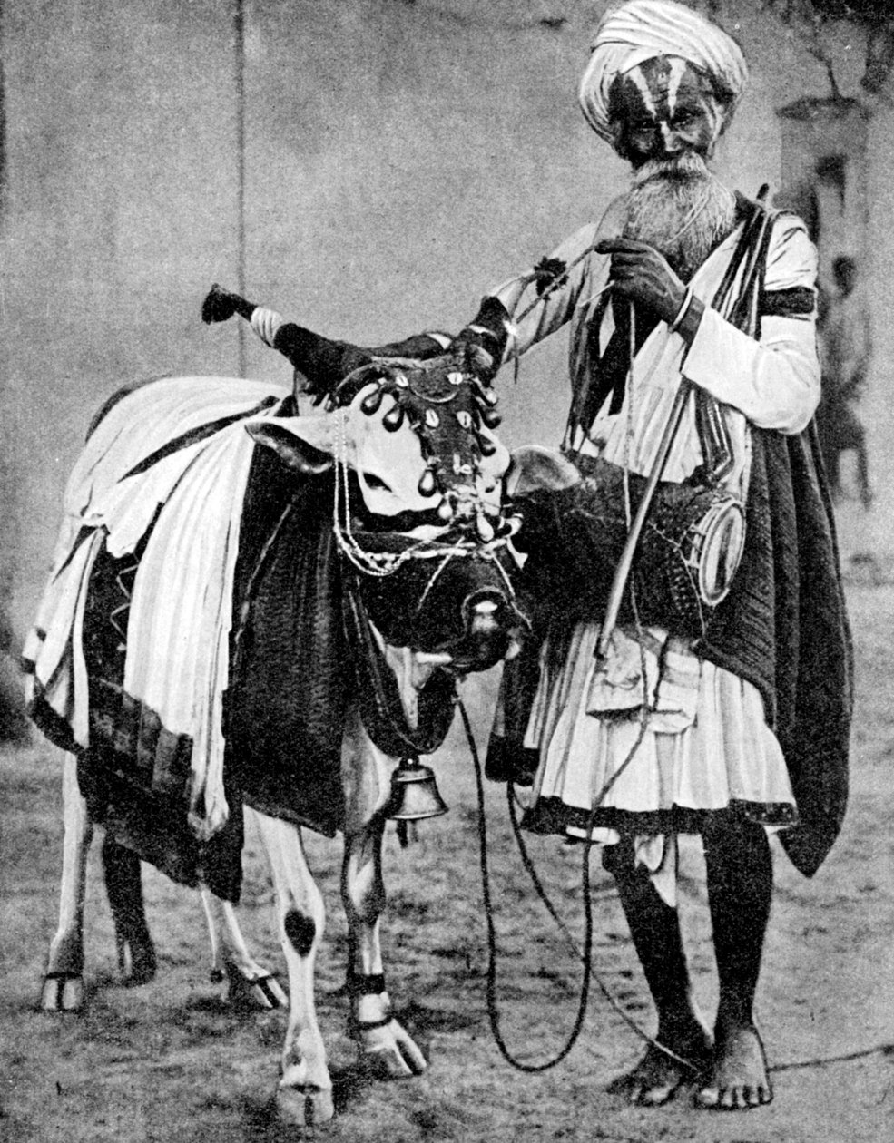 Hindu tehén szent tehénnel, India, 1936 alkotó: Unbekannt