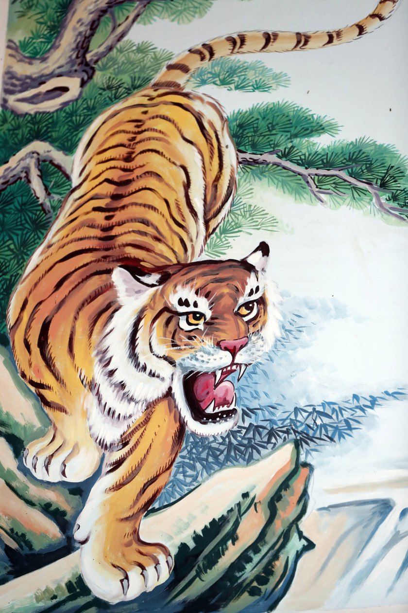 Hoi Tuong Te Nguoi Hoa buddista kínai templom. Tigris festmény. Phu Quoc. Vietnam. alkotó: Unbekannt