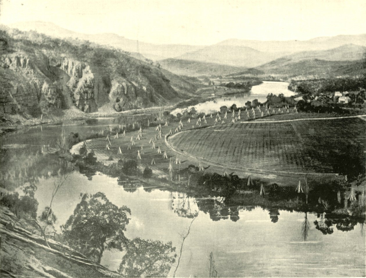 Hop Gardens Tasmániában, 1901. alkotó: Unbekannt