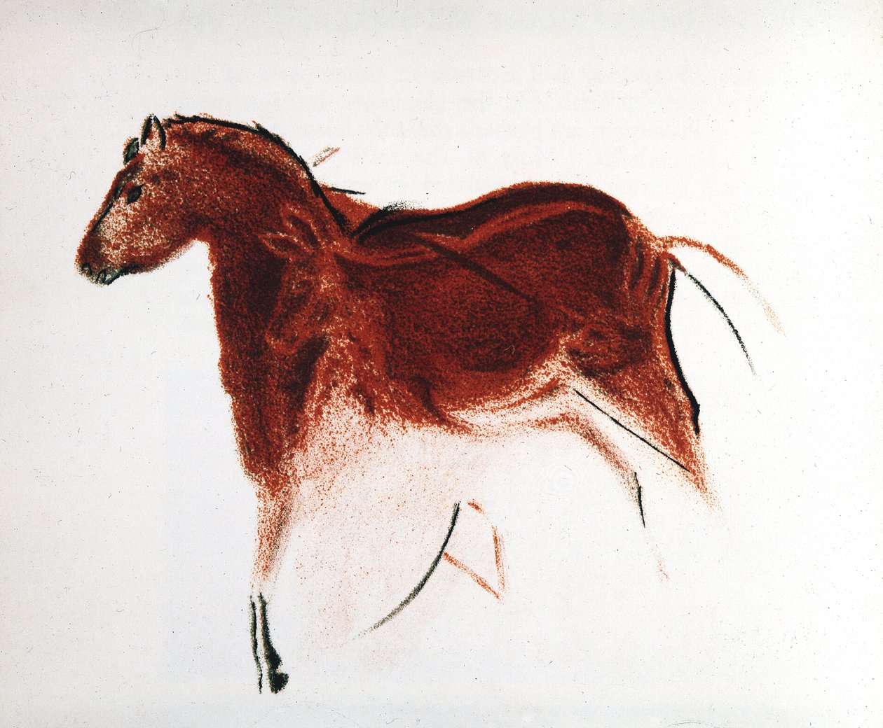 Ló és hind, paleolit barlangfestmény Altamirából, Dél-Spanyolországból, Kr.e. 16 000-c9000 alkotó: Unbekannt