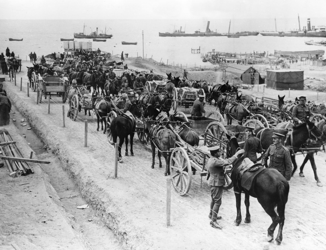 Lóvontatású szállítás, szövetséges hadműveletek a Dardanellákon, Törökország, 1915-1916 alkotó: Unbekannt