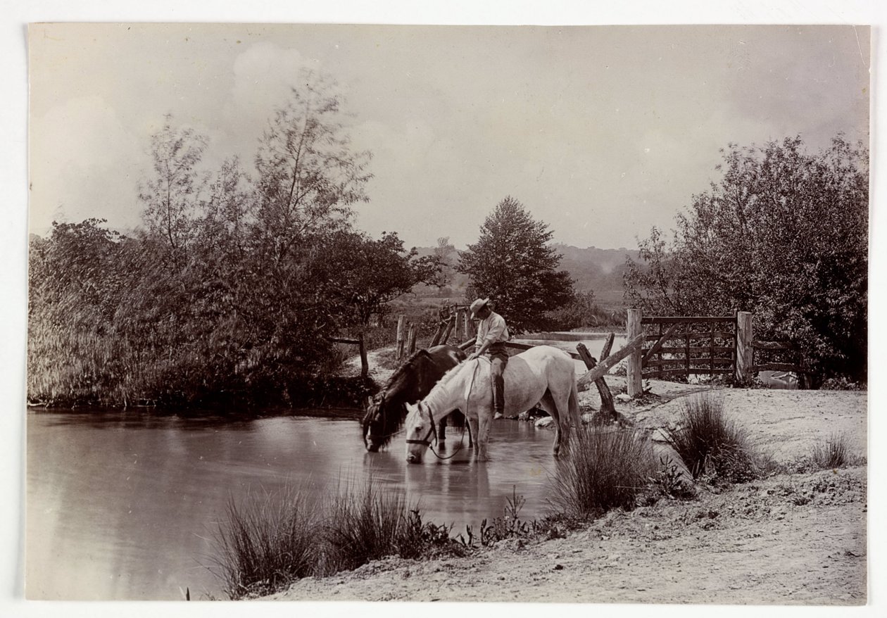 Lovak isznak a tóban, 1890 alkotó: Unbekannt