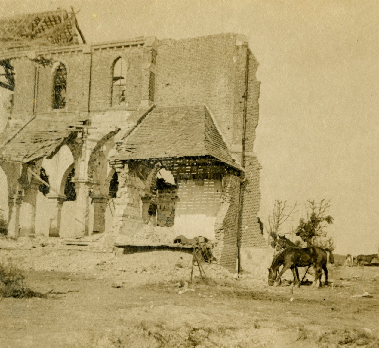 Lovak legelésznek a romtemplom mellett, Frise, Észak-Franciaország, 1914-c1918 alkotó: Unbekannt