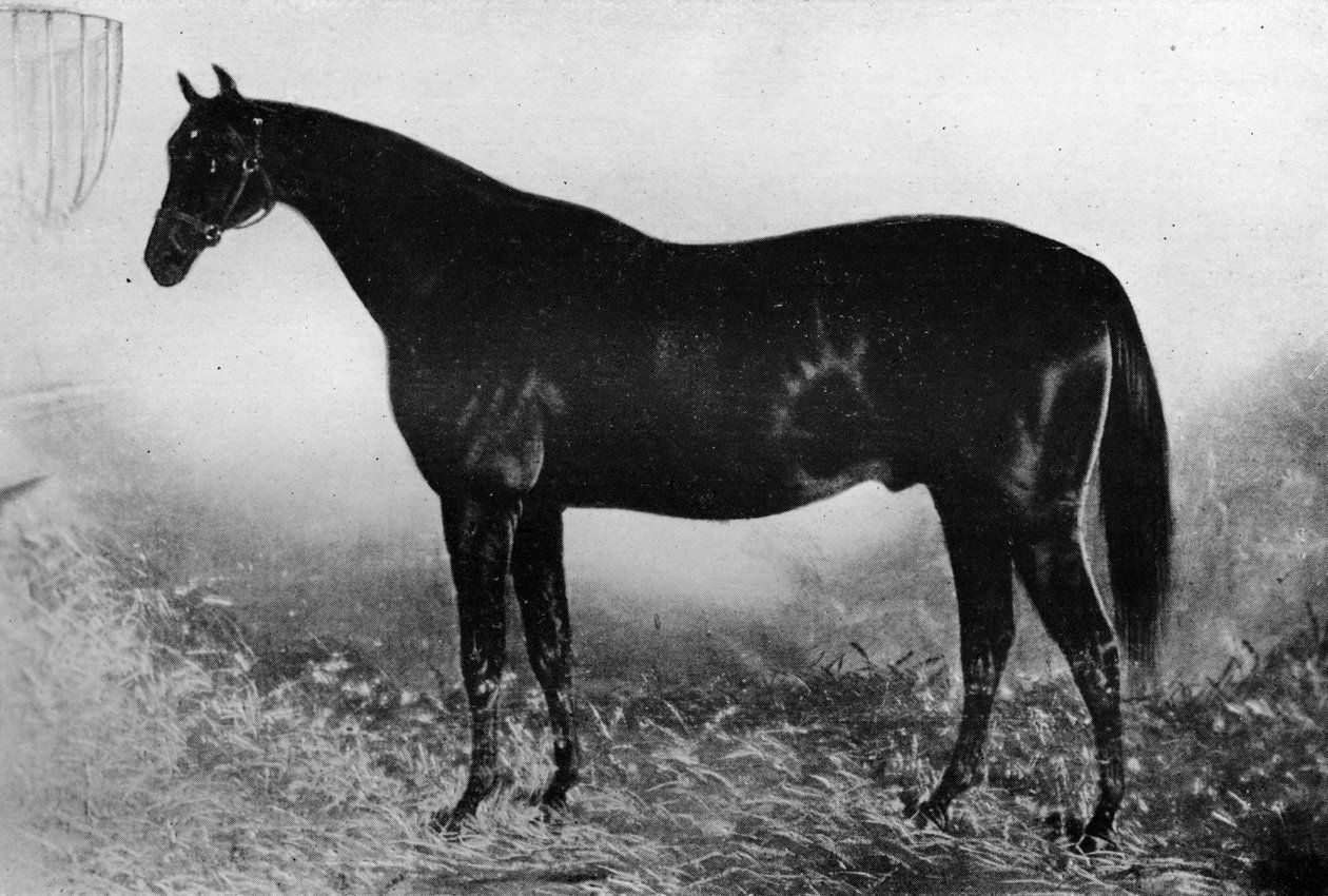 Vendéglátás, 19. század, 1911 alkotó: Unbekannt