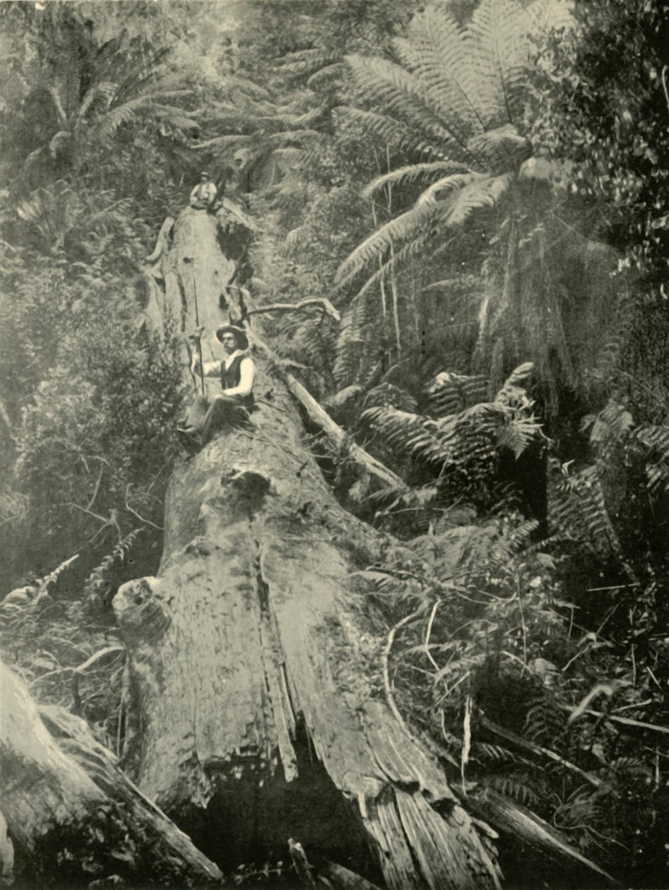 Hogy vannak a hatalmasok, 1901. alkotó: Unbekannt