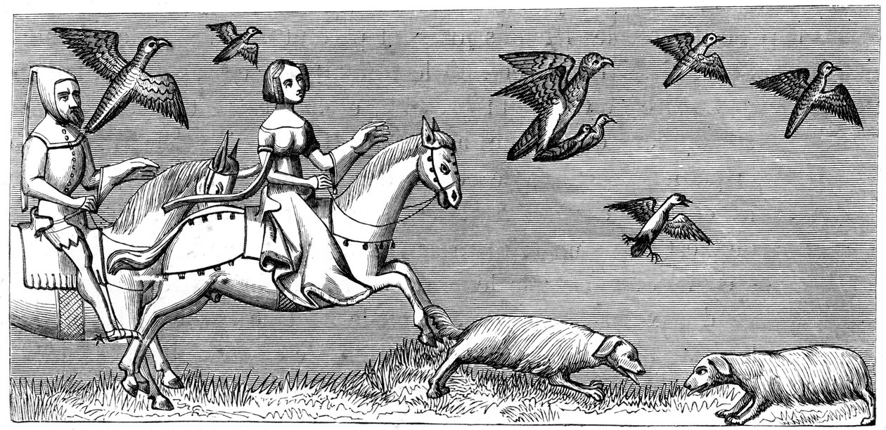 Fiatal sólymok repülésének módja, 14. század 1849 alkotó: Unbekannt