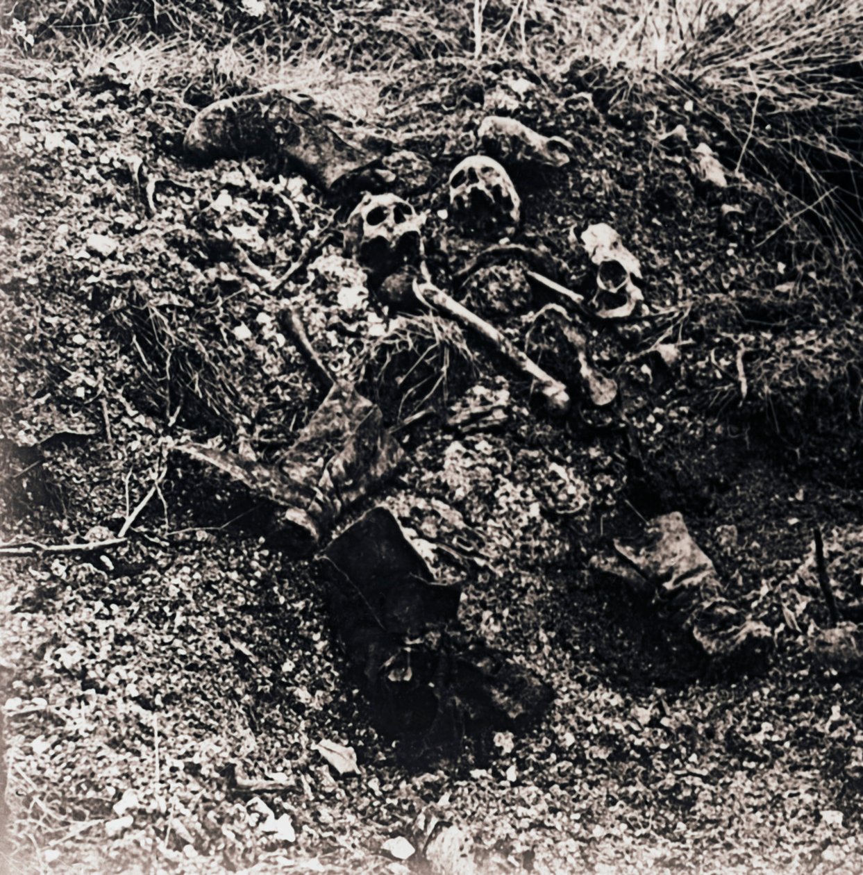 Emberi maradványok, c1914-c1918 alkotó: Unbekannt