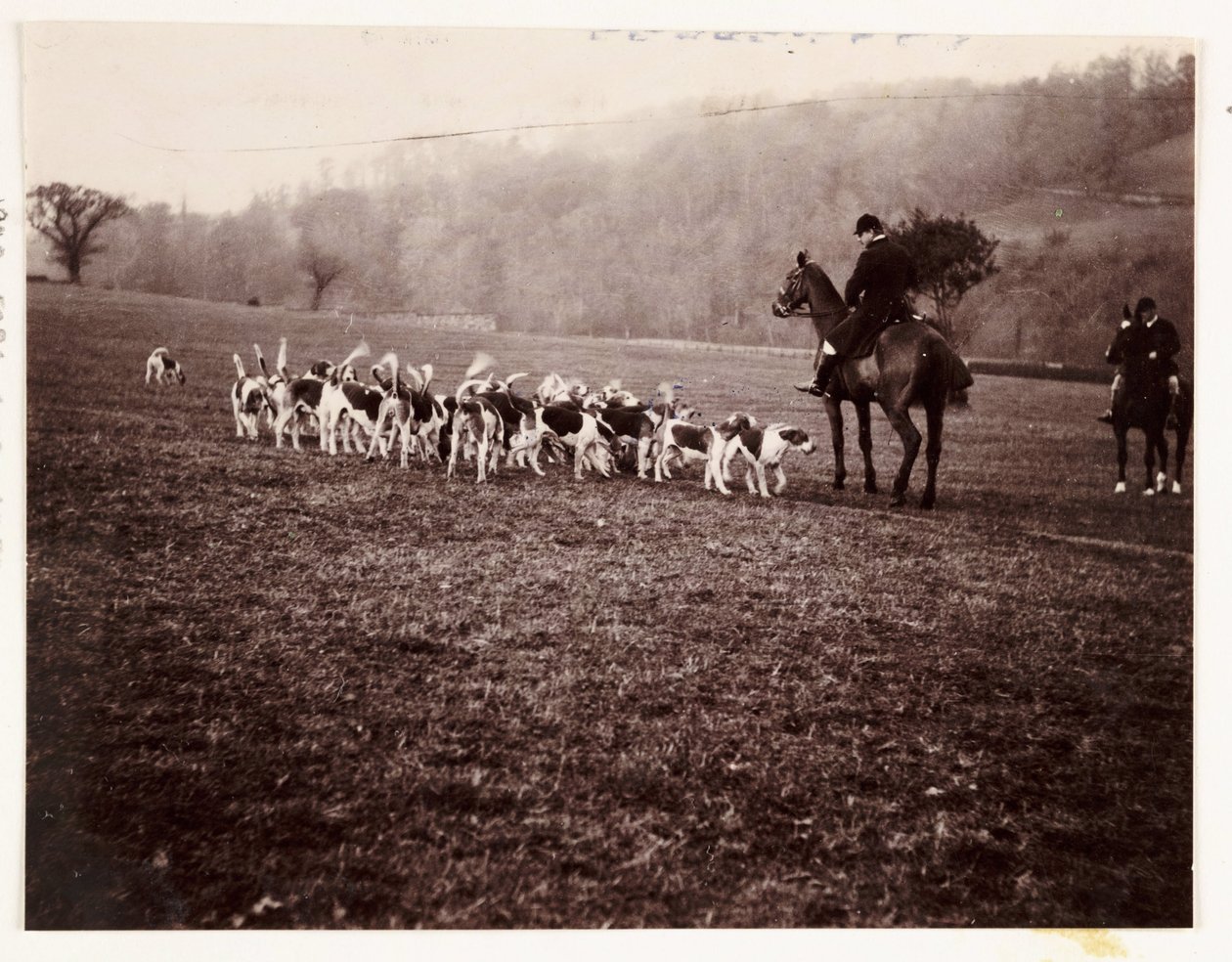 Vadász és vadászkutyák, 1905 alkotó: Unbekannt