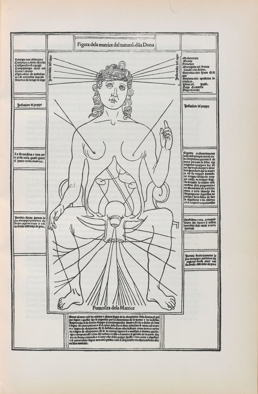 Illusztráció Johannes de Ketham Fasciculo di medicina című művéből, 1493. alkotó: Unbekannt