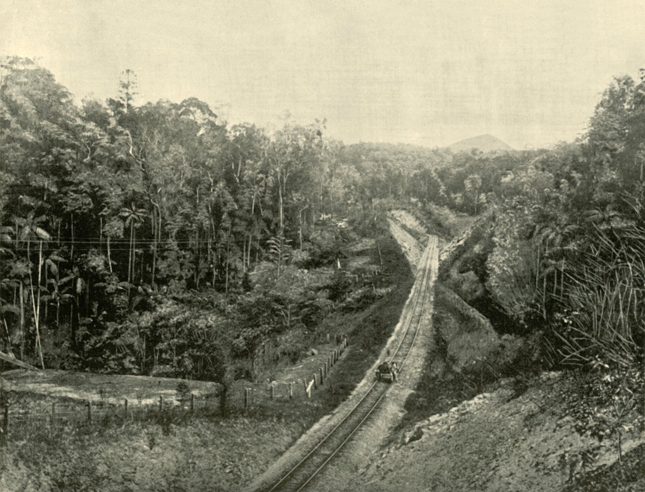 A Blackall-hegységben, 1901. alkotó: Unbekannt