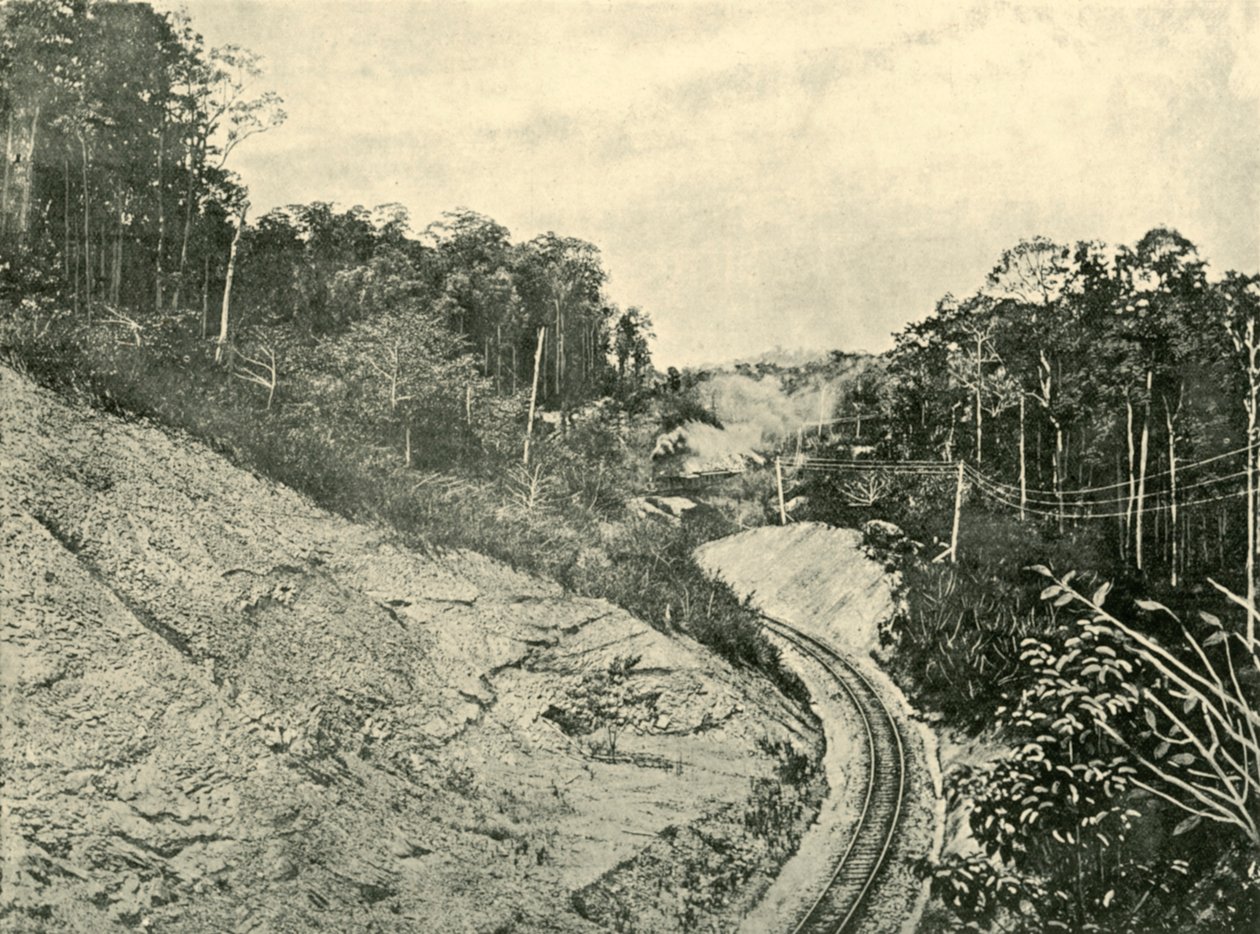 A Blackall-hegységben, 1901. alkotó: Unbekannt