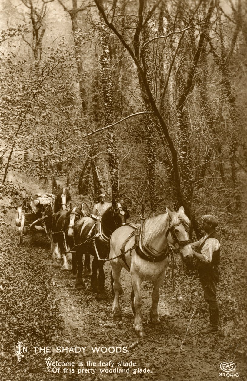 A Shady Woodsban, a 19. század végén vagy a 20. század elején alkotó: Unbekannt