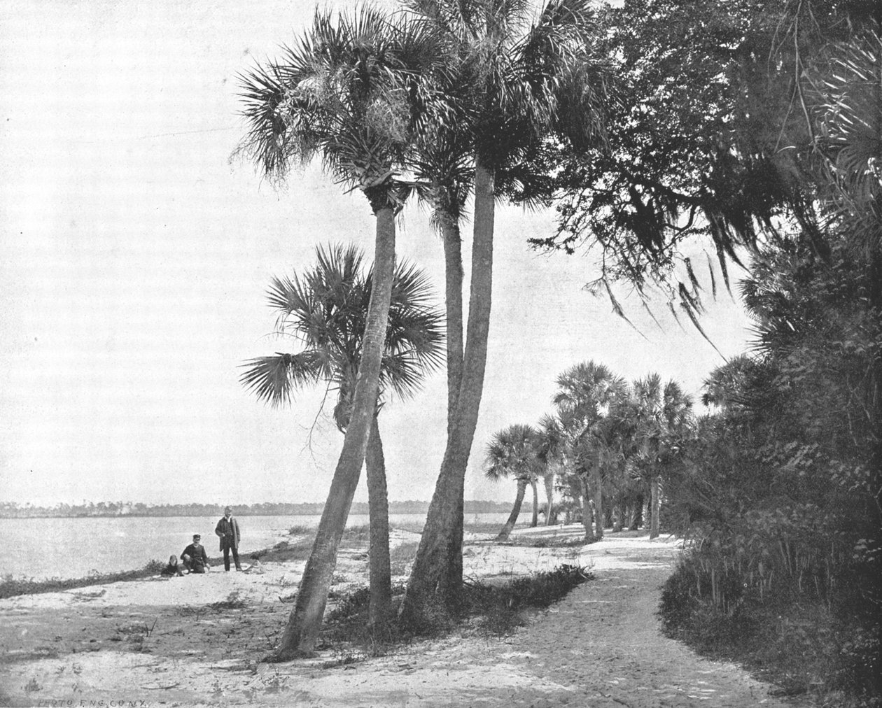 Indian River, Florida, USA, 1900. alkotó: Unbekannt