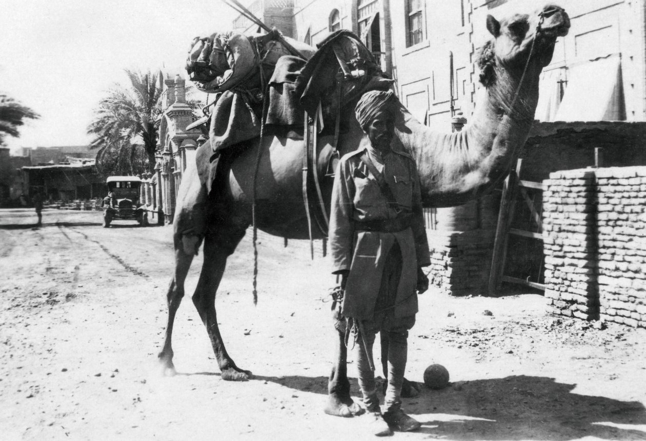 Indiai teve katona, Bagdad, 1918 alkotó: Unbekannt
