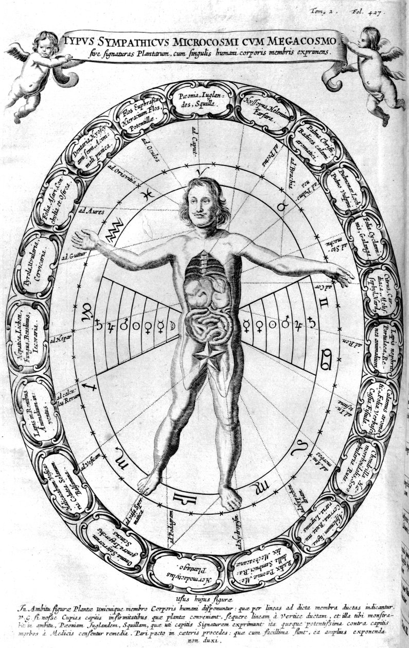 Az Univerzum, a makrokozmosz hatása az emberre, a mikrokozmosz, 1678 alkotó: Unbekannt