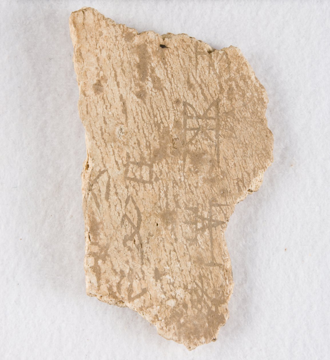 Feliratos csonttöredék orákulum csont, késői Shang-dinasztia, kb. 1300-1050 ie. alkotó: Unbekannt