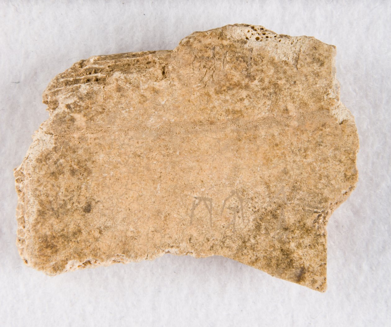 Feliratos csonttöredék orákulum csont, késői Shang-dinasztia, kb. 1300-1050 ie. alkotó: Unbekannt