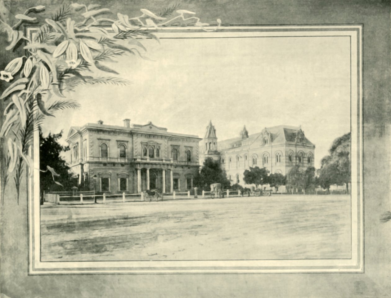 Intézet és Múzeum, Adelaide, 1901. alkotó: Unbekannt