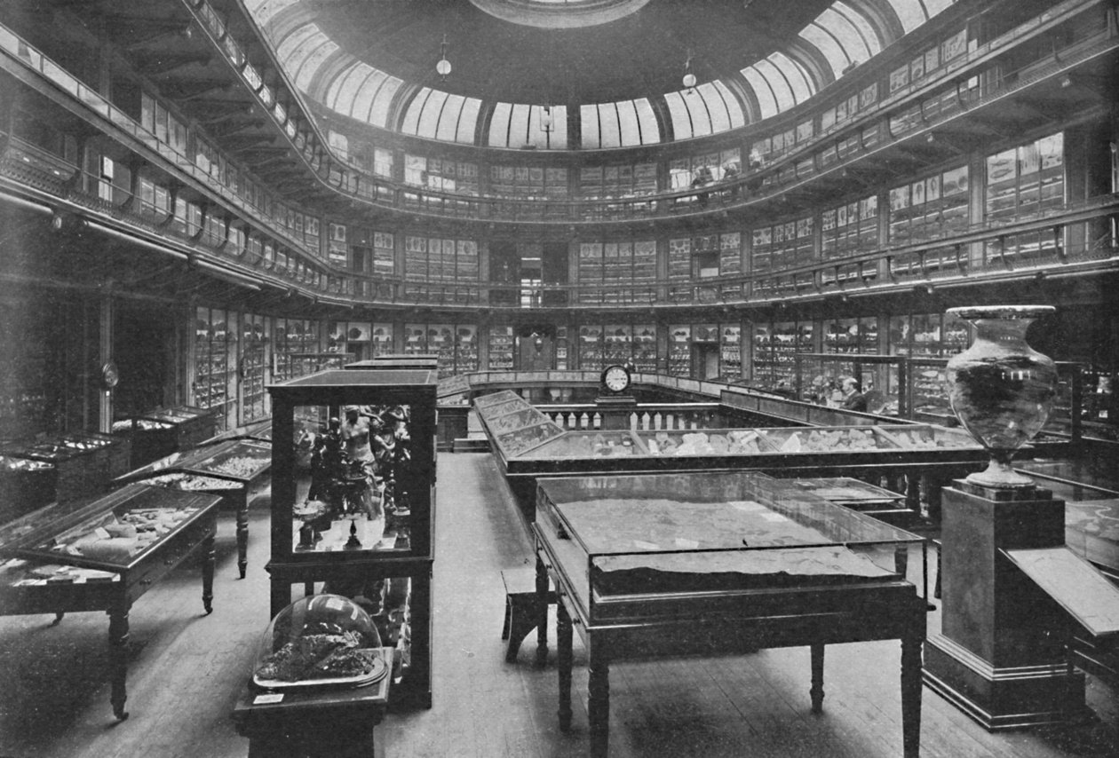 A Geológiai Múzeum belseje, Jermyn Street, 1904 alkotó: Unbekannt